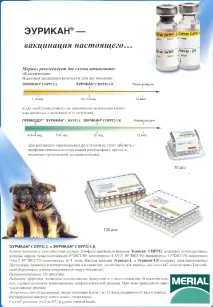 кога