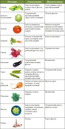 вживаються