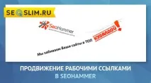 само висококачествени само висококачествени