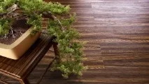 Який ламінат краще клас товщина водостійкість товщина