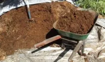 Який гній краще за кінський чи коров’ячий і як застосовувати краще