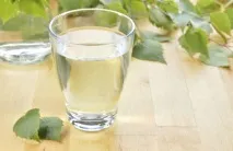 Як приготувати квас з березового соку? березового