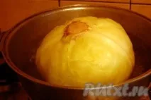 Як приготувати голубці з м’ясом та рисом - 14 покрокових фото в рецепті приготувати