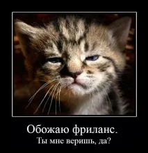 лесно фрийлансъри