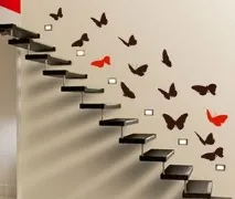 метелика