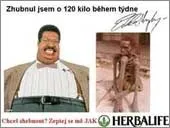 каталог каталог