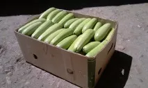 апартамент дома