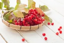 Калина для обличчя, маски з калини для шкіри, рецепти, відгуки та результат калина
