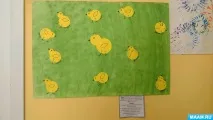 Колективна аплікація «Курчата на лузі» (фотозвіт) аплікація