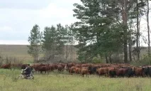 сътрудничество селскостопански продукти