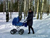 Коляска Inglesina Sofia inglesina
