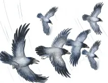 книга страница