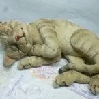Котики - Текстильна Майстерня Олени Акулової олени