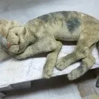 Котики - Текстильна Майстерня Олени Акулової котики