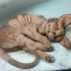Котики - Текстильна Майстерня Олени Акулової котики