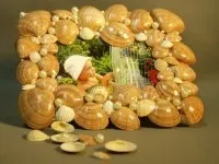 може бъде кутия
