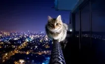 етаж
