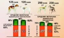 лаенето картичка
