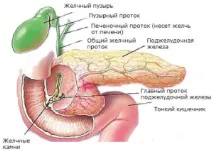раковите клетки панкреаса