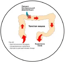 Лікування метеоризму у літніх дієта та медикаментозні методи літніх