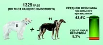 визитна моята