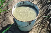 градински градински