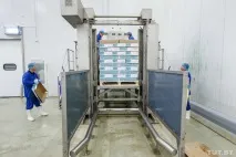 беларус като цяло
