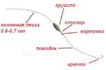 Лов сома в Білорусі, Ловим все сома