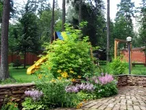 Ліаноподібні жимолості - Садові квіти - Пелюсток - Аматорське квітництво жимолості