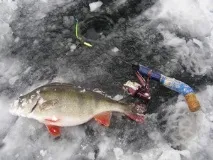 през