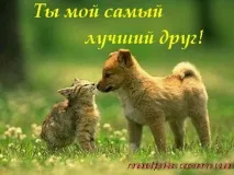 дневници подаване