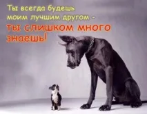 дневници крайна сметка