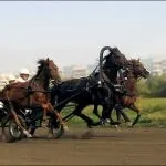 рисак