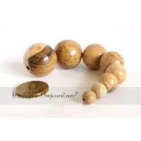 матрици