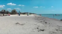 област николаевска