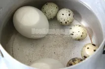 Салат Гніздо перепілки (курка, картопля, яйця, огірок, кукурудза, зелень) - рецепт з покроковими салат
