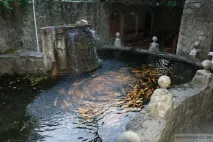 света света