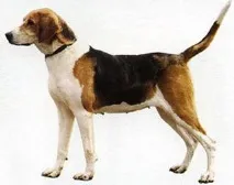 южен южен