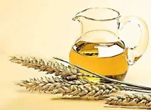 Олія зародків пшениці властивості та користь зародків