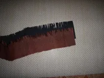 клас слънчогледи