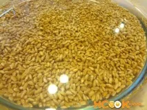 кутя