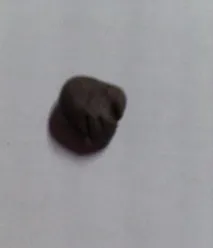 куче клас