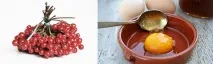 Маска з калини для обличчя рецепти, ефект та користь калинового соку калини