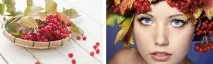Маска з калини для обличчя рецепти, ефект та користь калинового соку обличчя