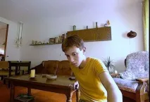 факти