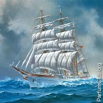Морські аромати, Свіжі парфуми, Парфуми із запахом моря, Аромати морського бризу морські