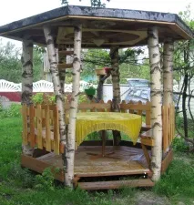 вила моята