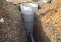 заровите каква