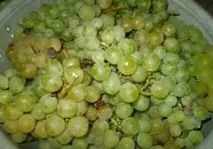 Натуральний виноградний сік із соковарки - покроковий рецепт з фото - для пароварки натуральний