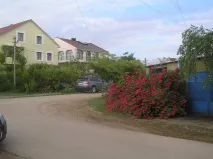 крим